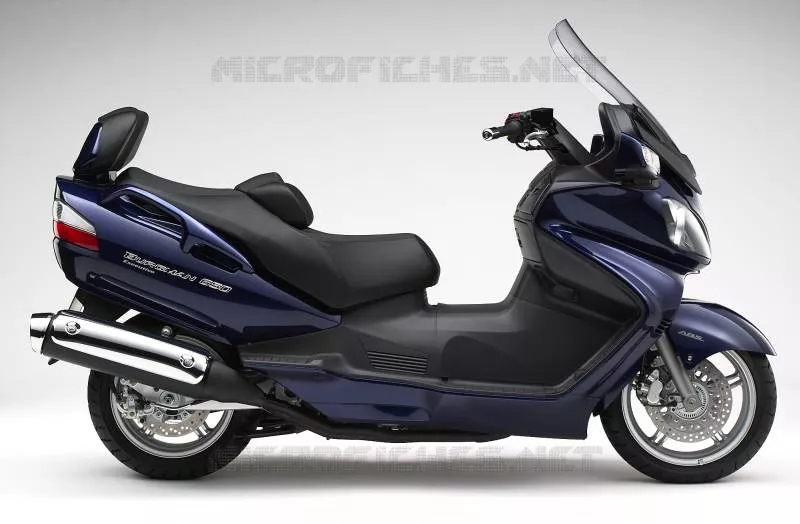 * PHOTOGRAPHIE DE COULEUR AN650AK6 * Suzuki SCOOTER 650 BURGMAN 2008  AN650AK8(E2)