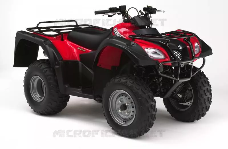 * PHOTOGRAPHIE DE COULEUR LT-F250K6 * Suzuki QUAD 250 OZARK 2004  LT-F250K4(E3/E28)
