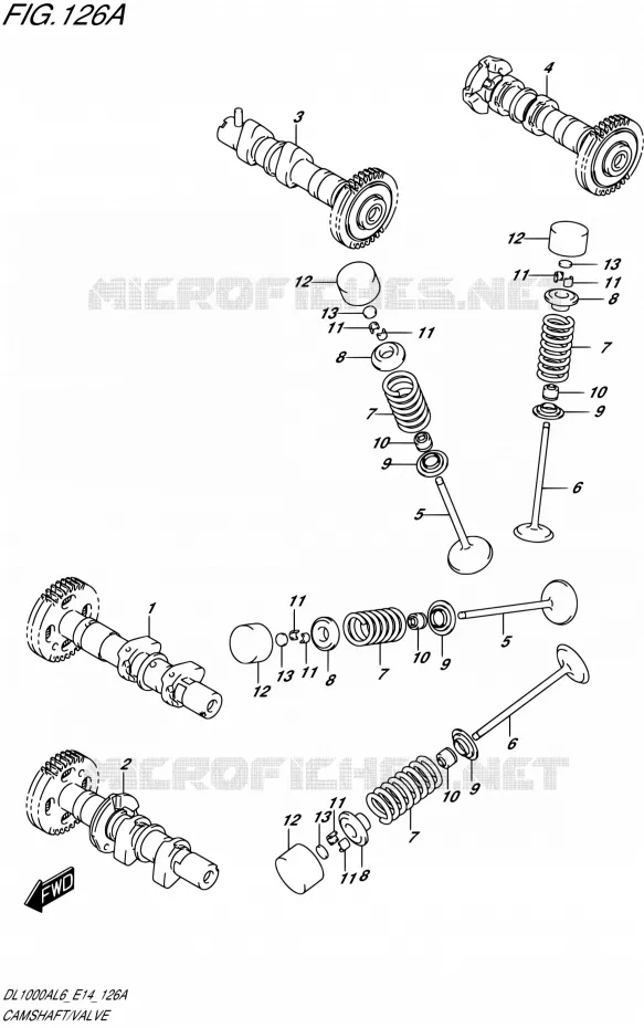 NOKKENAS - VALVES Suzuki MOTO 1000 V-STROM 2016  DL1000A L6 (E14)