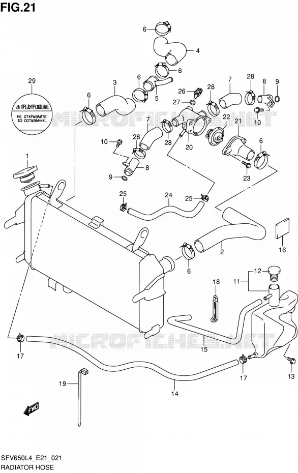 RADIATOR SLANG (SFV650AL4 E21) Suzuki MOTO 650 GLADIUS 2014  SFV650A L4 (E21)
