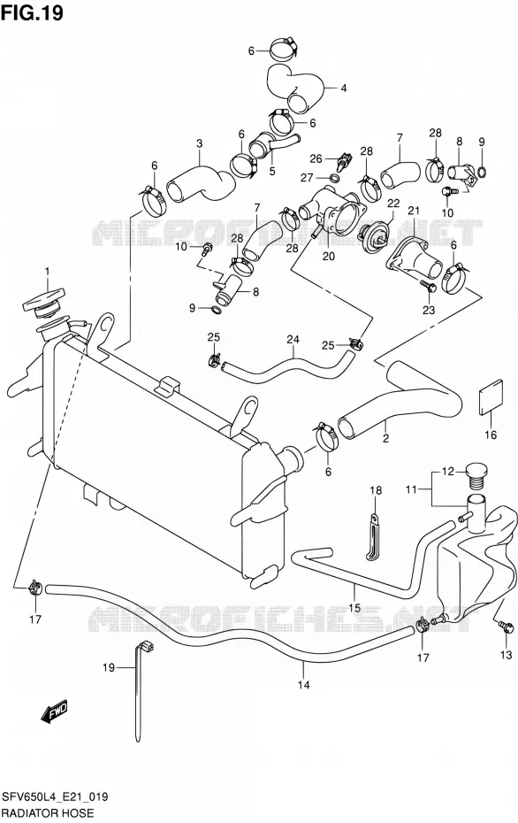 RADIATOR SLANG (SFV650L4 E21) Suzuki MOTO 650 GLADIUS 2016  SFV650A L4 (E21)