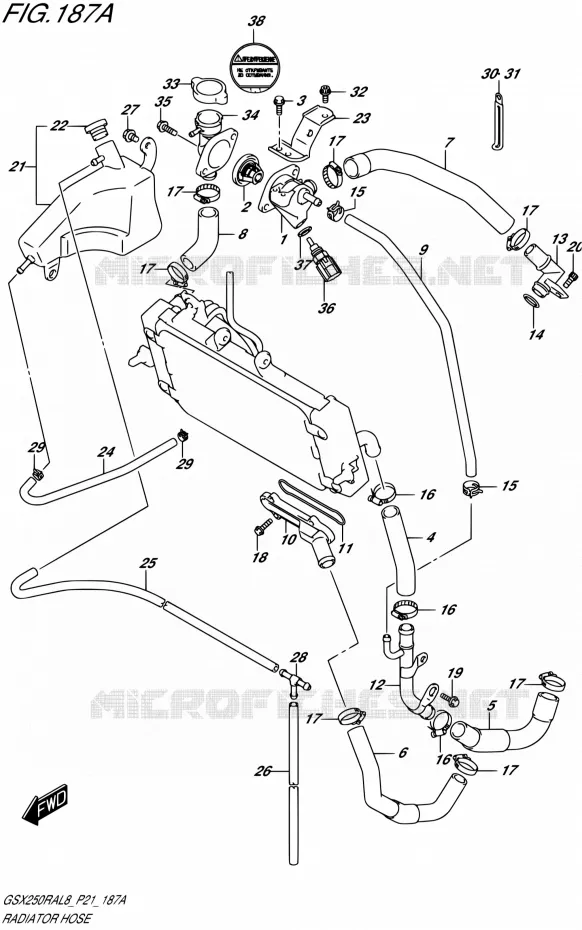 RADIATOR SLANG Suzuki MOTO 250 GSX-R 2018  GSX250RA L8/GSX250RZA L8 P21