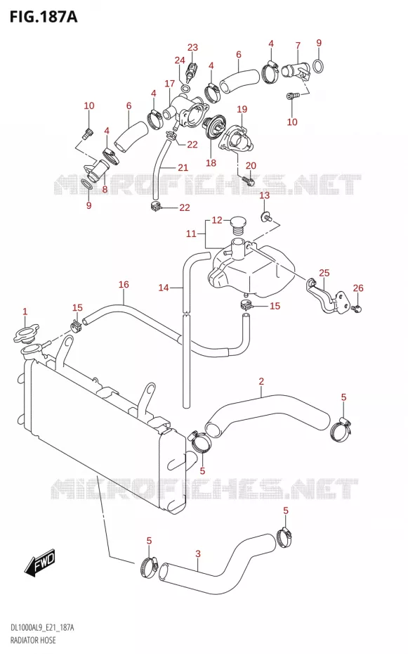 RADIATOR SLANG - EXPANSIEVAT Suzuki MOTO 1000 V-STROM 2019  DL1000A L9 (E21)