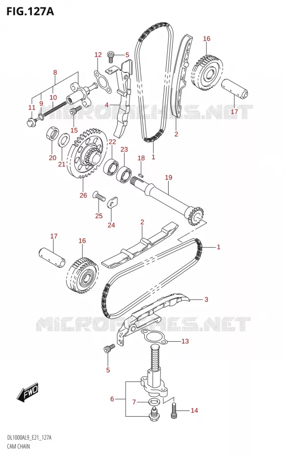 TIMING Suzuki MOTO 1000 V-STROM 2019  DL1000A L9 (E21)
