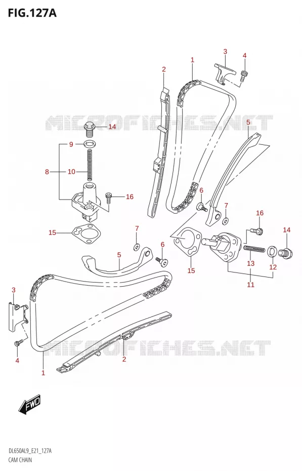 TIMING Suzuki MOTO 650 V-STROM 2019  DL650XA L9 (E21)