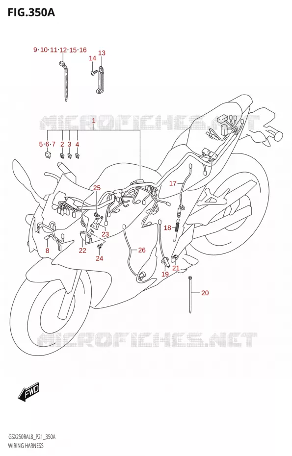 BEDRADING Suzuki MOTO 250 INAZUMA 2018  GW250RA L8 (P21)