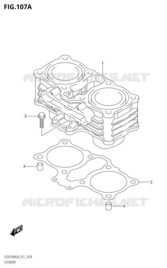 CILINDER Suzuki MOTO 250 INAZUMA 2018  GW250RAZ L8 (P21)