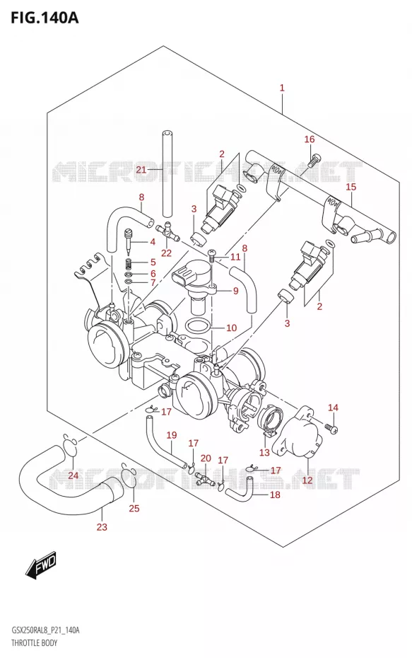 GASKLEPHUIS Suzuki MOTO 250 INAZUMA 2018  GW250RAZ L8 (P21)