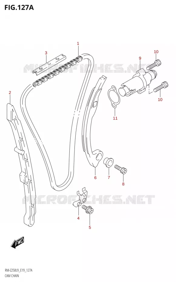 TIMING Suzuki MOTO 250 RM-Z 2019  RM-Z250 L9 (E19)
