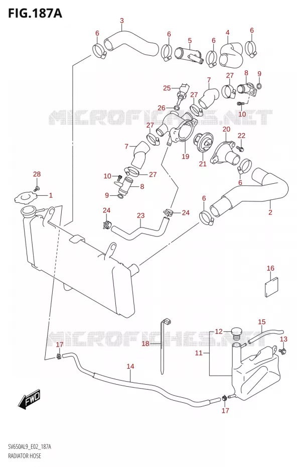 RADIATOR SLANG (SV650AL9 E02) Suzuki MOTO 650 SV 2019  SV650A L9 (E02)