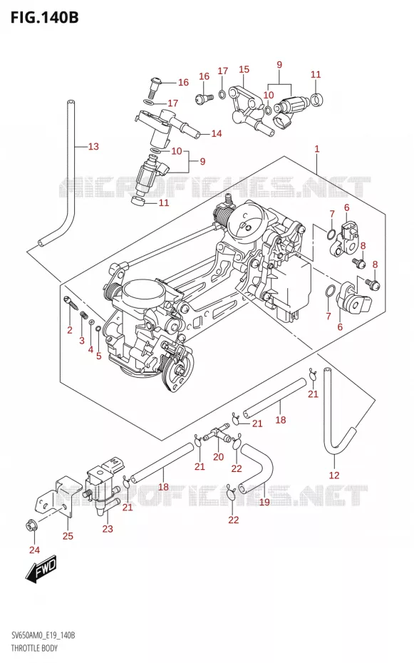GASKLEPHUIS Suzuki MOTO 650 SV 2020  SV650A (E19)