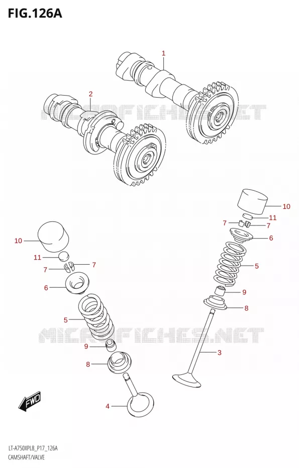 NOKKENAS - VALVES Suzuki QUAD 750 KINGQUAD 2018  LT-A750XP L8 (P17)