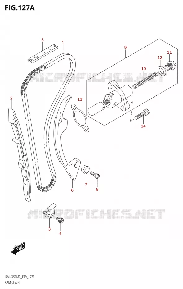 TIMING Suzuki MOTO 450 RM-Z 2022  RM-Z450 M2 (E19)