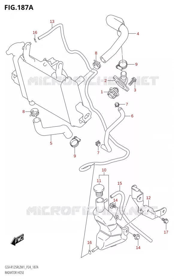 RADIATOR SLANG Suzuki MOTO 125 GSX-R 2021  GSX-R125RLZ M1 (P24)