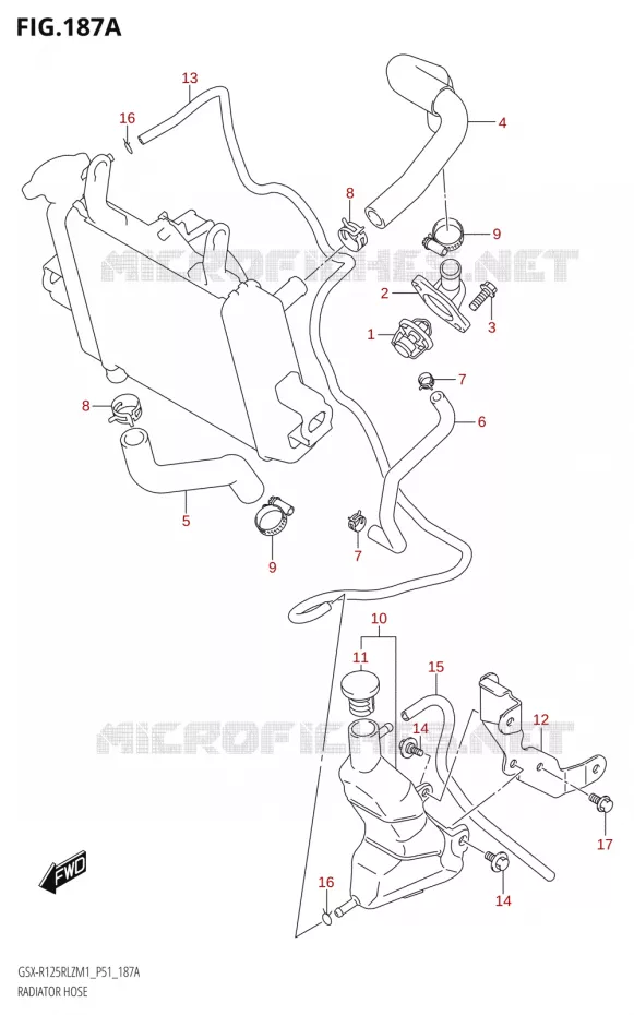 RADIATOR SLANG Suzuki MOTO 125 GSX-R 2021  GSX-R125RLZ M1 (P51)