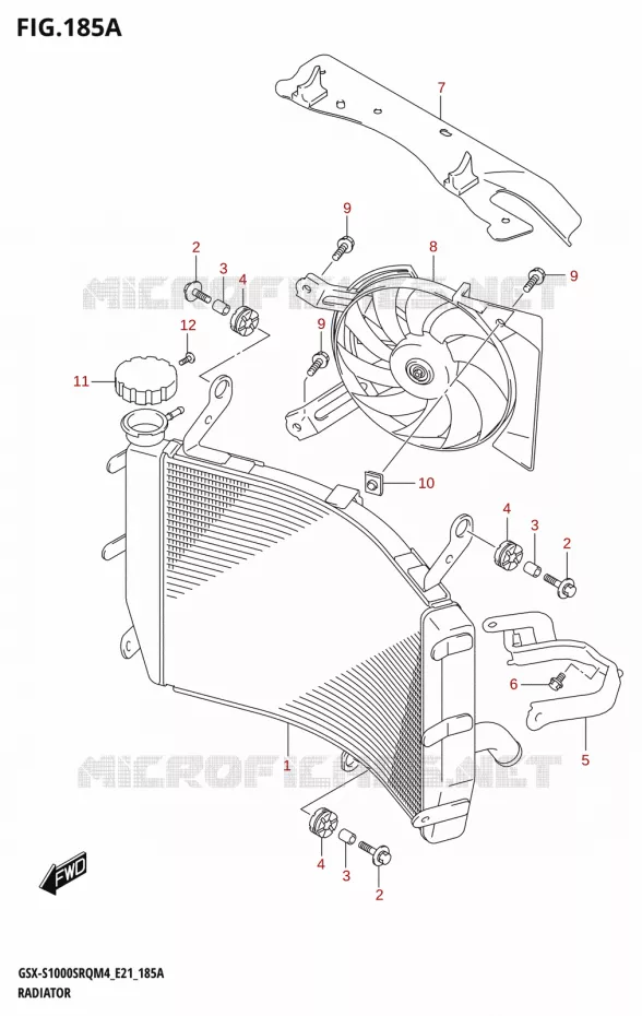 RADIATOR Suzuki MOTO 1000 KATANA 2024  GSX-S1000SRQ M4 (E21)