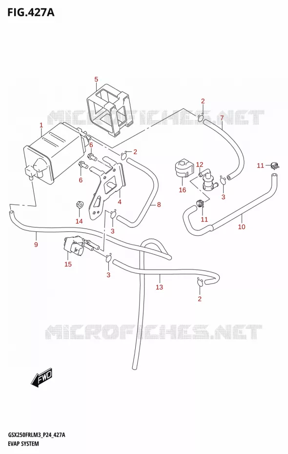 FUEL EVAP SYSTEM Suzuki MOTO 250 GSX-R 2023  GSX250FRLX / GSX250FRL M3 (P24)