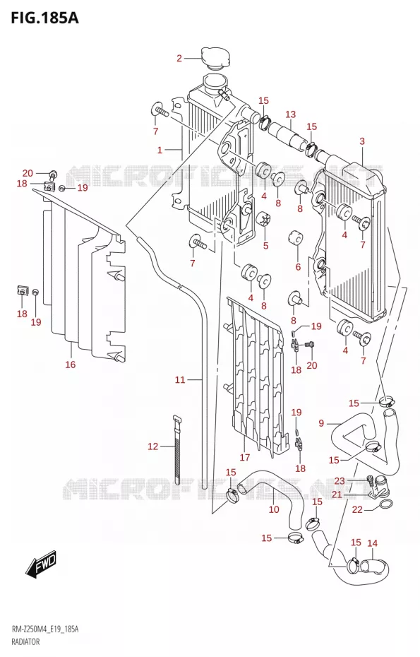 RADIATOR Suzuki MOTO 250 RM-Z 2024  RM-Z250 M4 (E19)