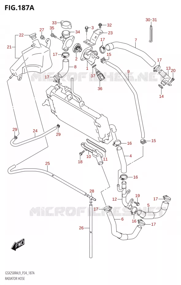 RADIATOR SLANG - EXPANSIEVAT Suzuki MOTO 250 GSX-R 2019  GSX250RA L9/GSX250RZA L9 P24