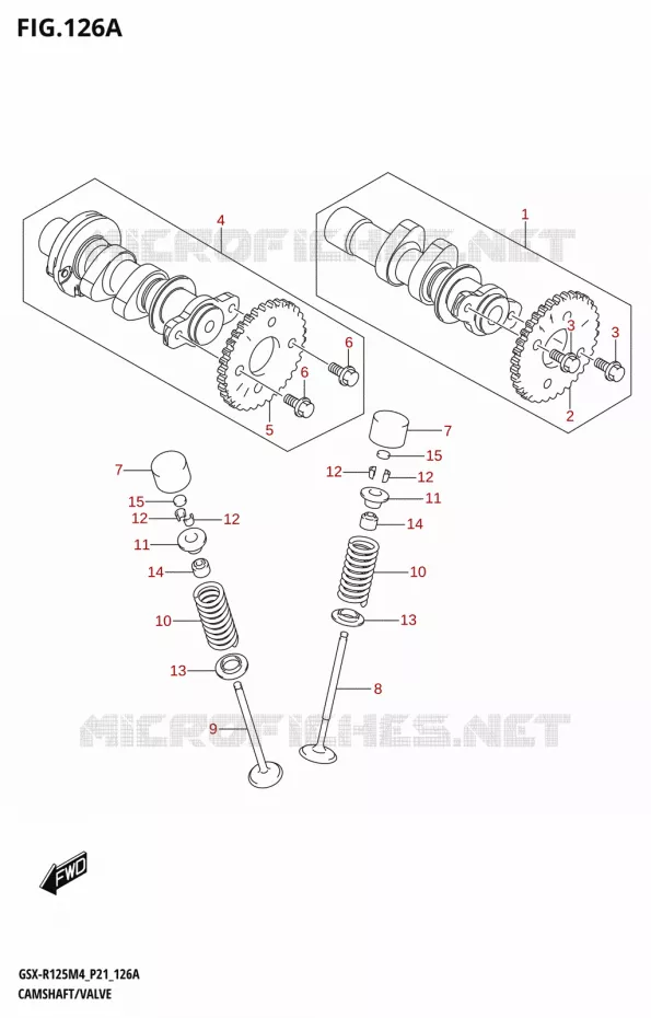 NOKKENAS - KLEPPEN Suzuki MOTO 125 GSX-R 2024  GSX-R125RL 2024 M4 (P21)