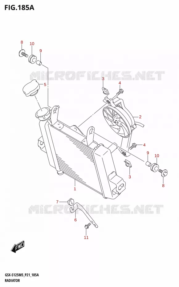 RADIATOR Suzuki MOTO 125 GSX-S 2025  GSX-S125RL / GSX-S125RLX M5 (P21)