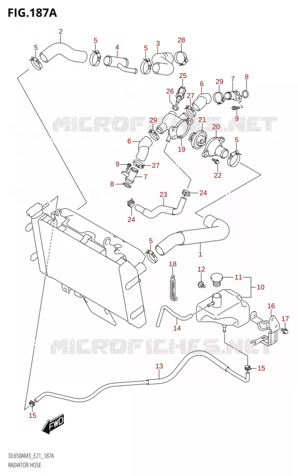 RADIATOR SLANG - EXPANSIEVAT Suzuki MOTO 650 V-STROM 2023  DL650AM3