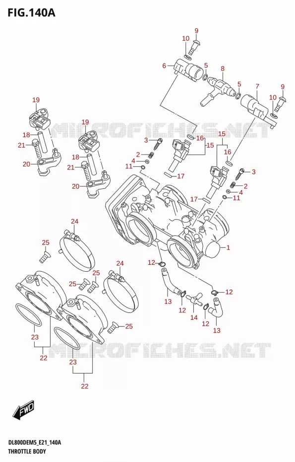 GASKLEPHUIS Suzuki MOTO 800 V-STROM 2025  DL800DEUC 2025 M5 (E21)