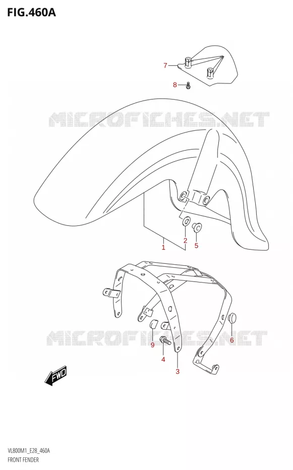 FRONT FENDER (VL800) Suzuki MOTO 800 BOULEVARD 2021  VL800 2021 M1 (E28)