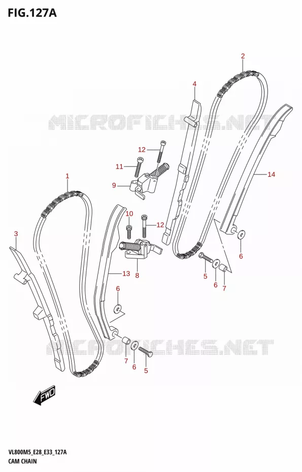 TIMING Suzuki MOTO 800 BOULEVARD 2025  VL800 2025 M5 (E28)
