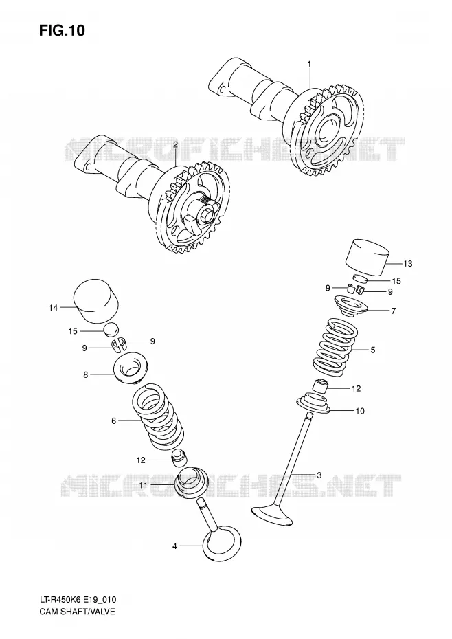 NOKKENAS - VALVES Suzuki QUAD 450 QUADRACER 2008  LT-R450ZK8(E19)
