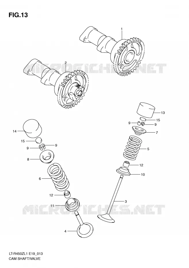 NOKKENAS - VALVES Suzuki QUAD 450 QUADRACER 2011  LT-R450L1(E19)