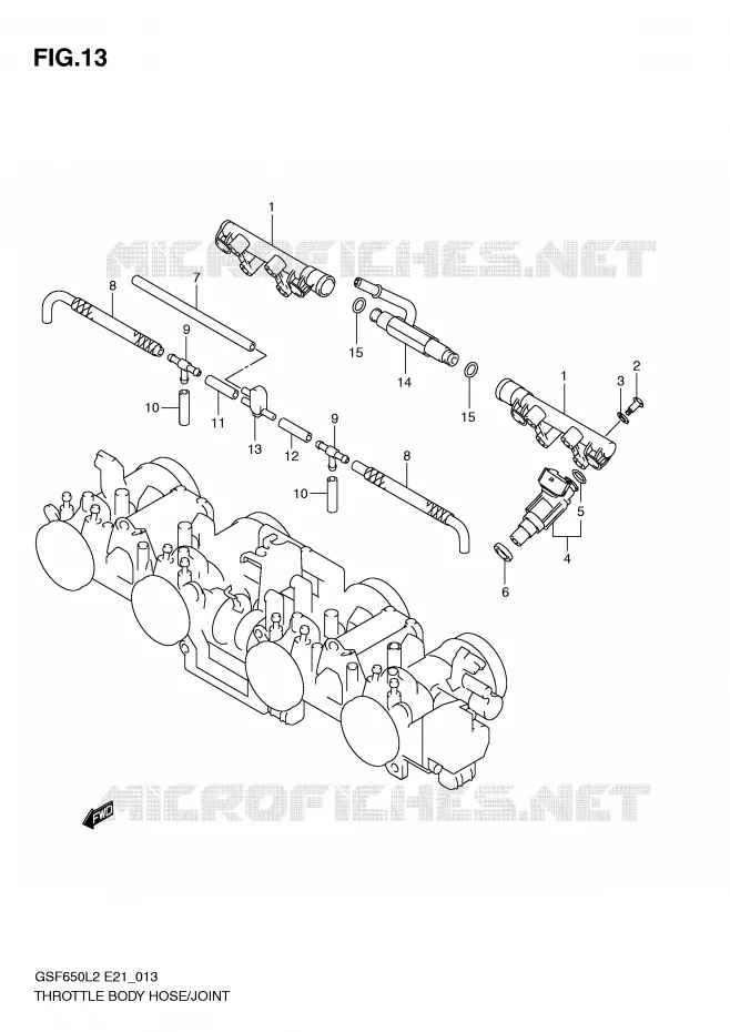 GASKLEPHUIS SLANG / JOINT Suzuki MOTO 650 BANDIT 2015  GSF650SAL2(E21)