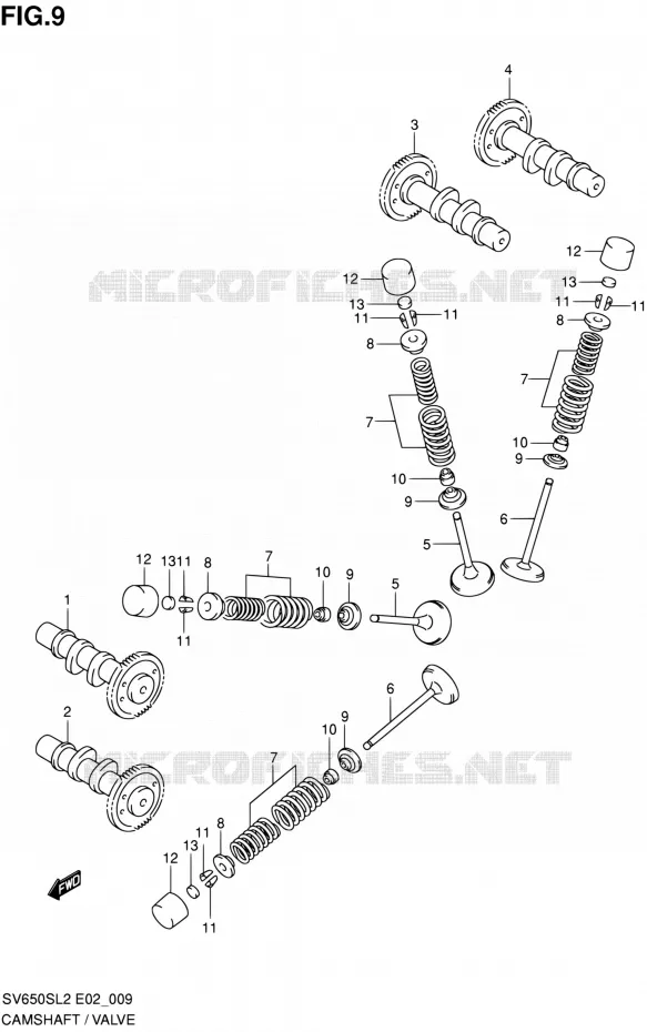 NOKKENAS - VALVES Suzuki MOTO 650 SV 2012  SV650SAL2(E24)
