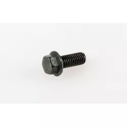 BOLT. IMMOBILIZER