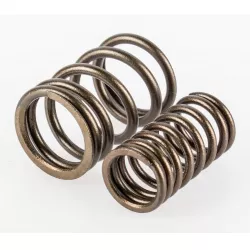 VALVE SPRING SET