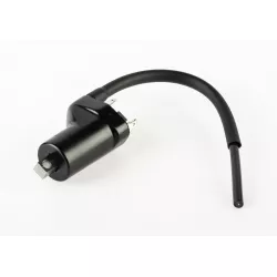 COIL ASSY,IGNITION