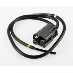 COIL ASSY,IGNITION