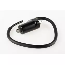 COIL ASSY,IGNITION