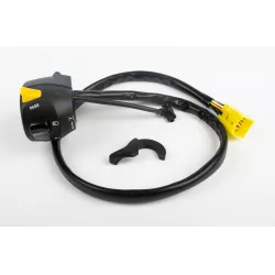 LH HANDLE SWITCH ASSY