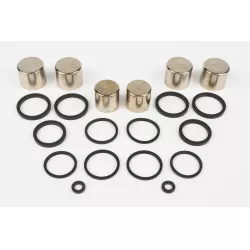 PISTON SET